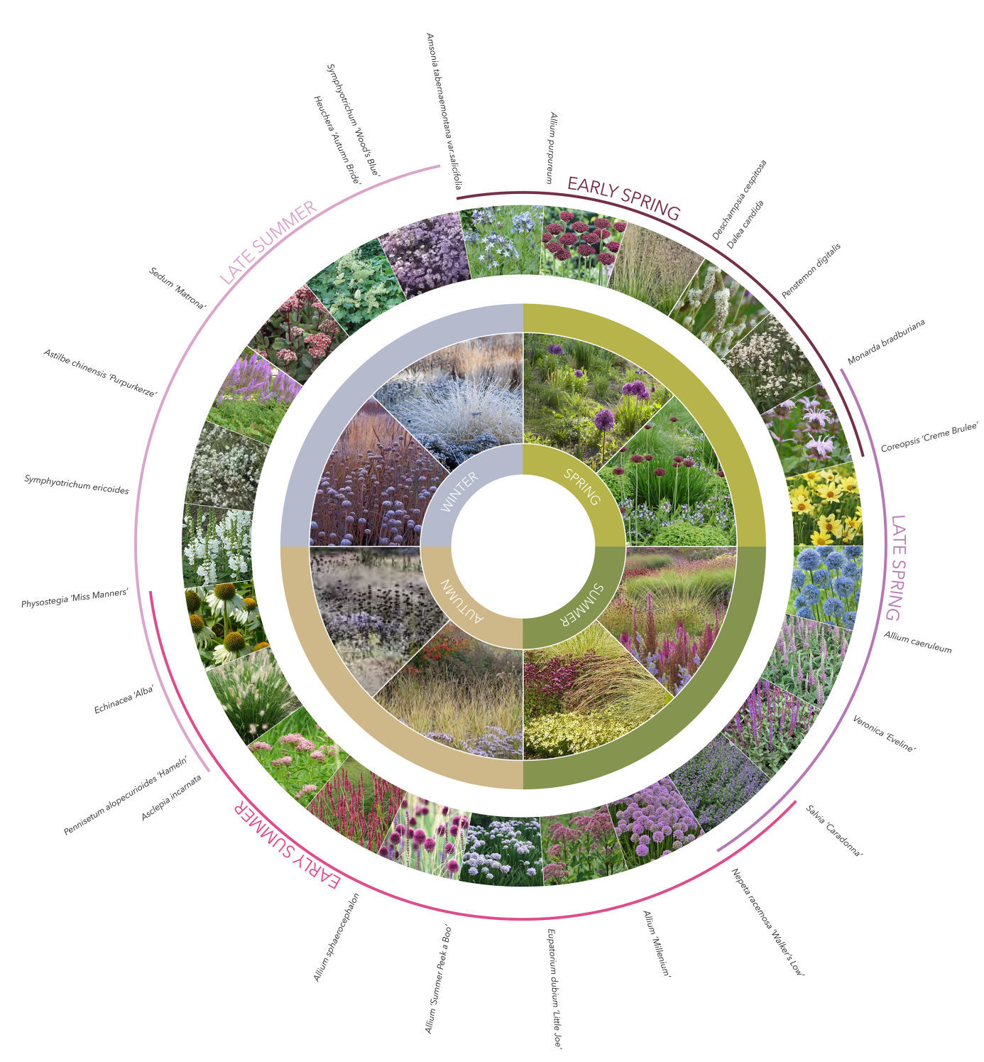 20200128_Circular Graphic